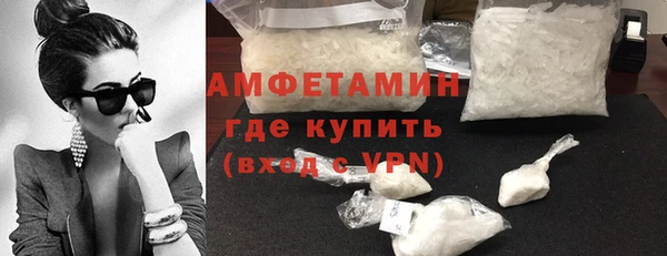 прущие грибы Инта