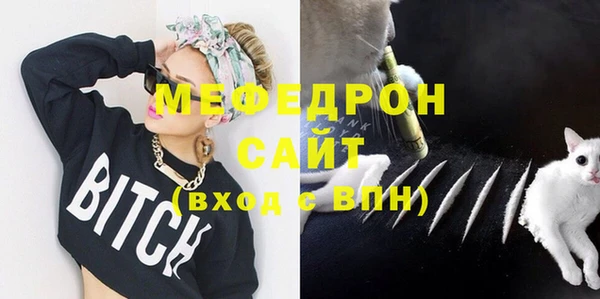 прущие грибы Инта