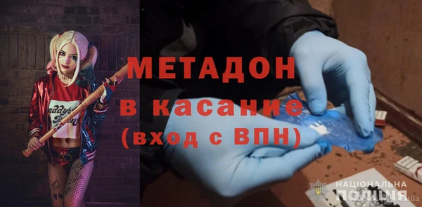 прущие грибы Инта