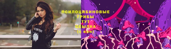 шишки Иннополис