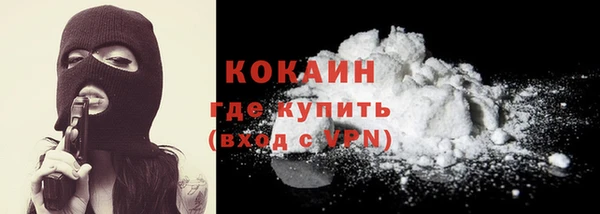 шишки Иннополис