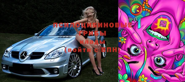шишки Иннополис