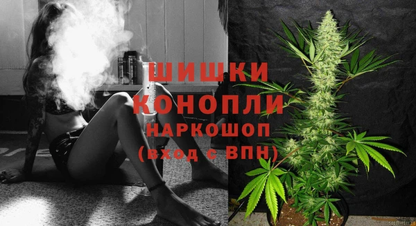 прущие грибы Инта