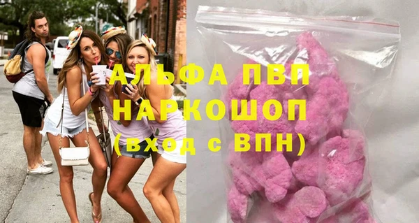 шишки Иннополис