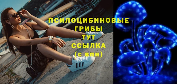прущие грибы Инта