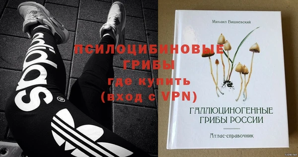 прущие грибы Инта