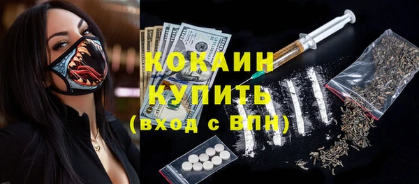 прущие грибы Инта