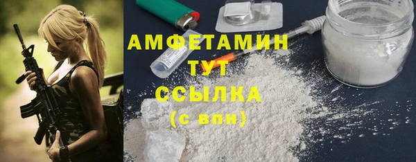 прущие грибы Инта