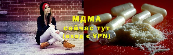 прущие грибы Инта