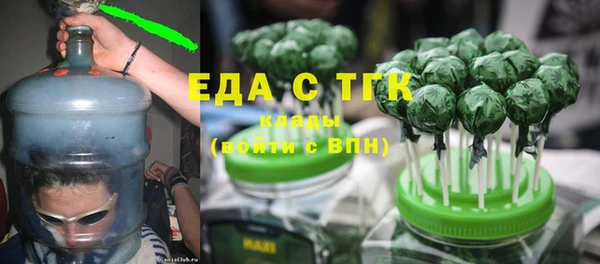 прущие грибы Инта