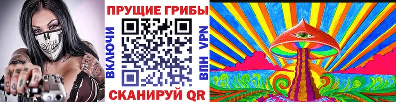 Галлюциногенные грибы Cubensis  Купить где  Торопец 